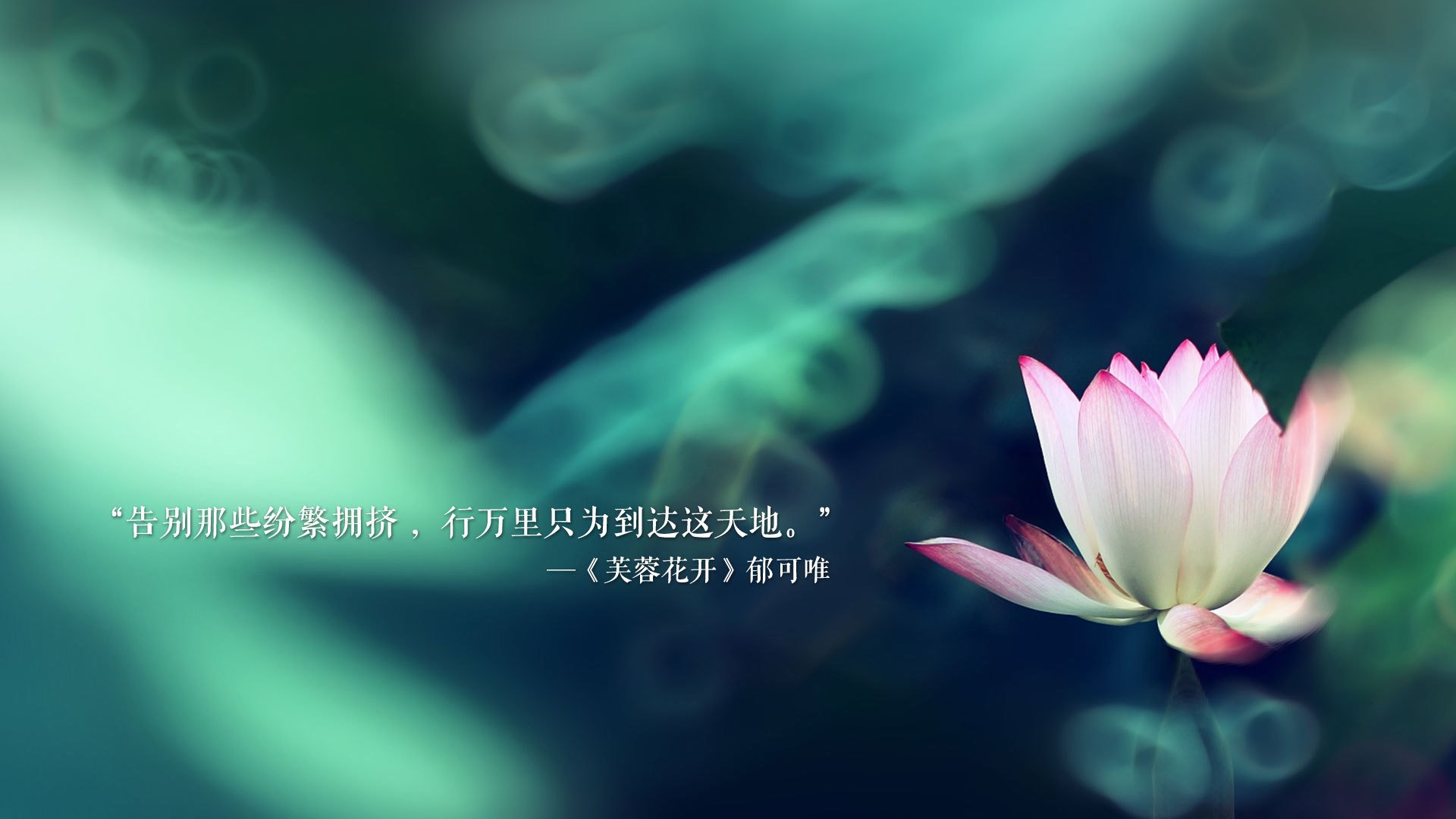 _魔术队迎来战斗力爆发，迎战强敌_，魔术队的比赛