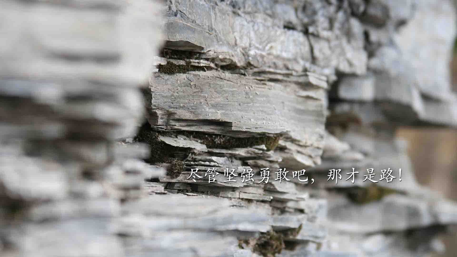 战术风云：教练的战术布置和调整分析，战术教练怎么添加