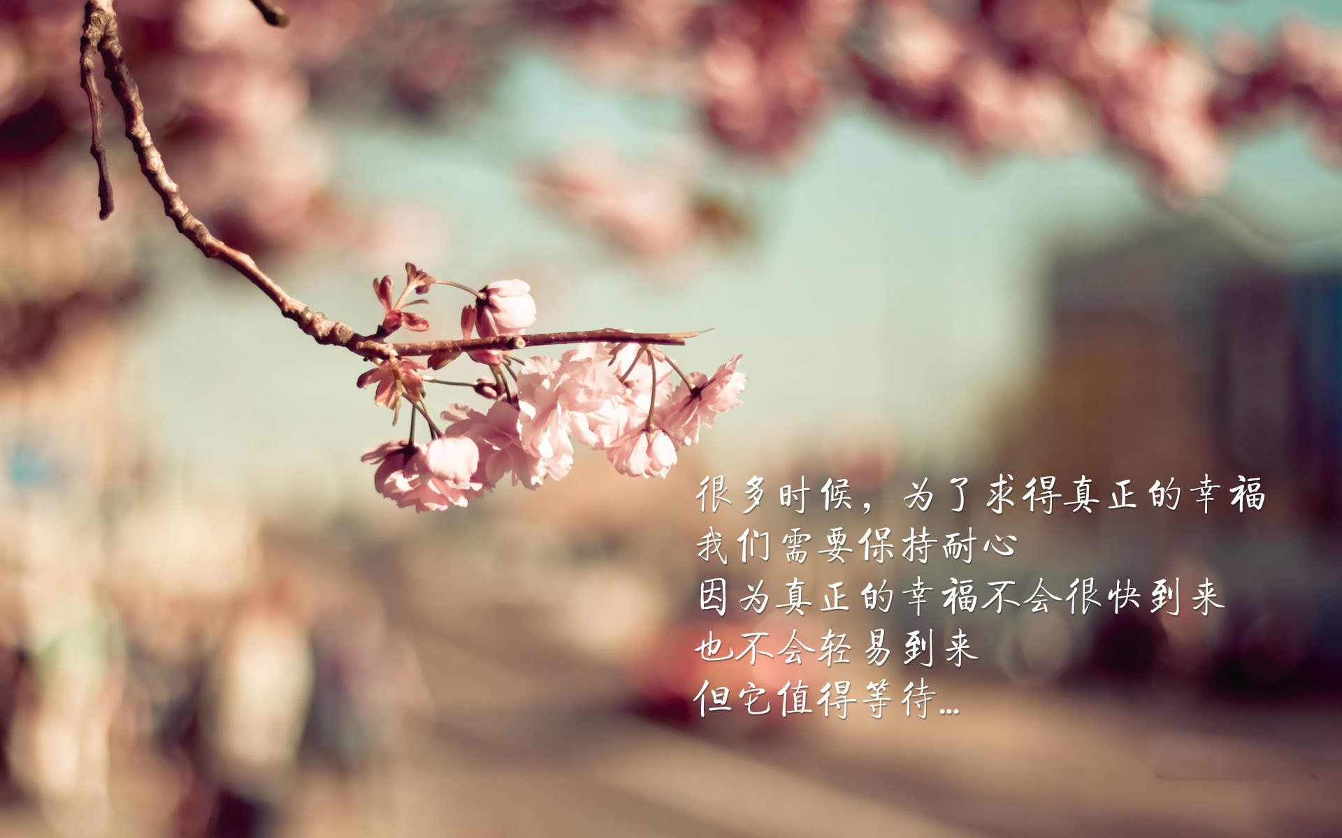 电竞战队管理中的人才选拔与培养机制，电竞战队管理中的人才选拔与培养机制包括
