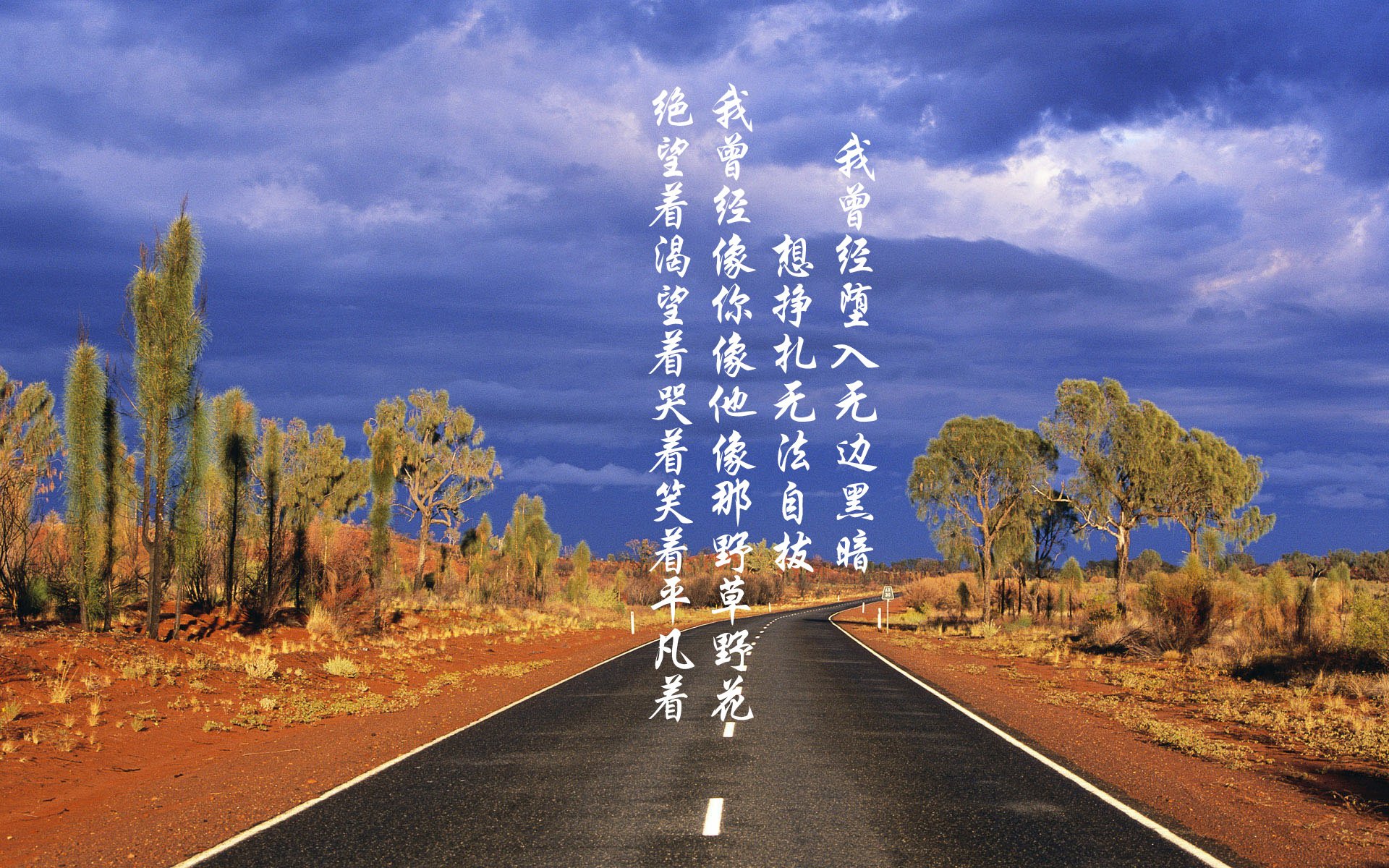 世界足球冠军联赛决赛精彩上演，豪门对决激动人心，世界冠军足球队