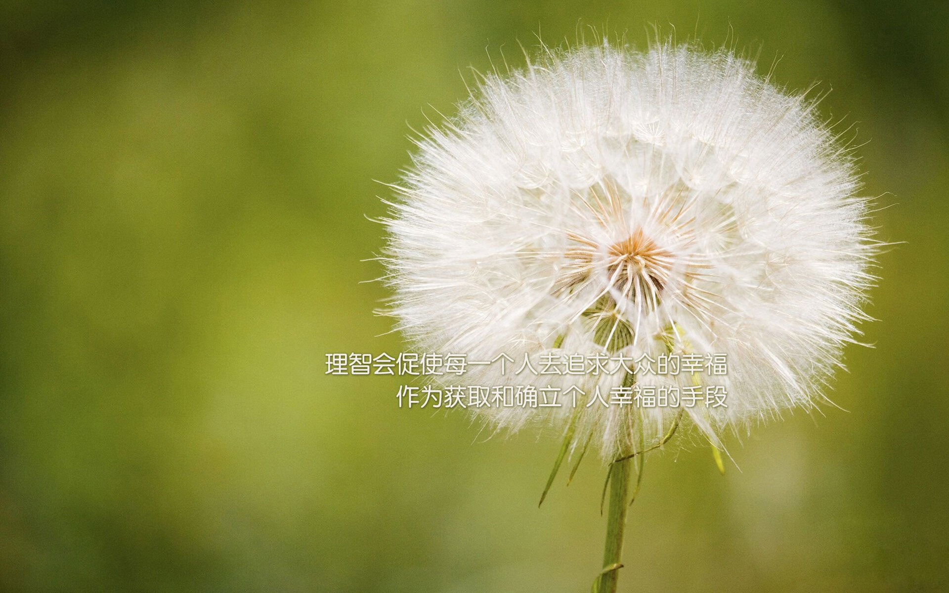 斯洛伐克男篮在欧洲大赛中奋发图强，追求国际最高荣誉，斯洛伐克队欧洲杯大名单