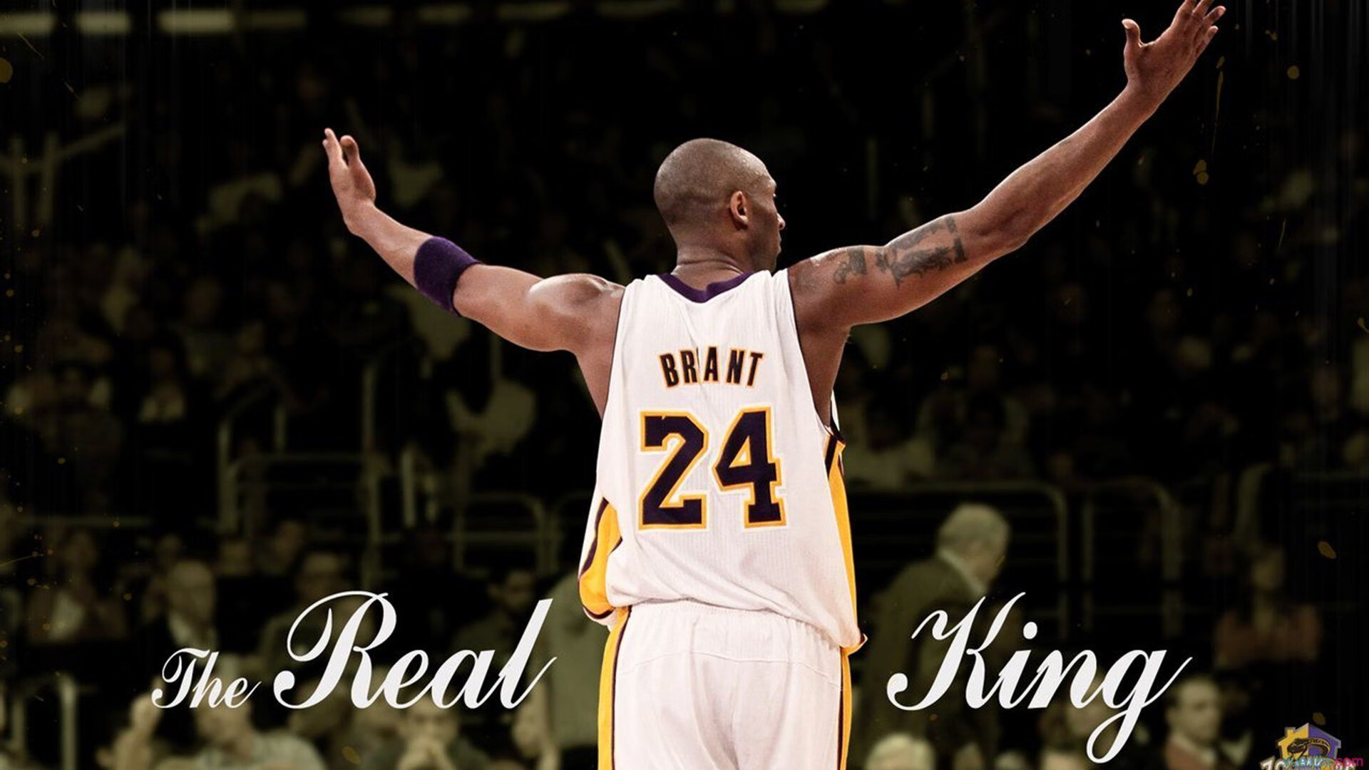 爱游戏在线-_火箭队迎战强敌，奋勇争胜_，火箭队伍